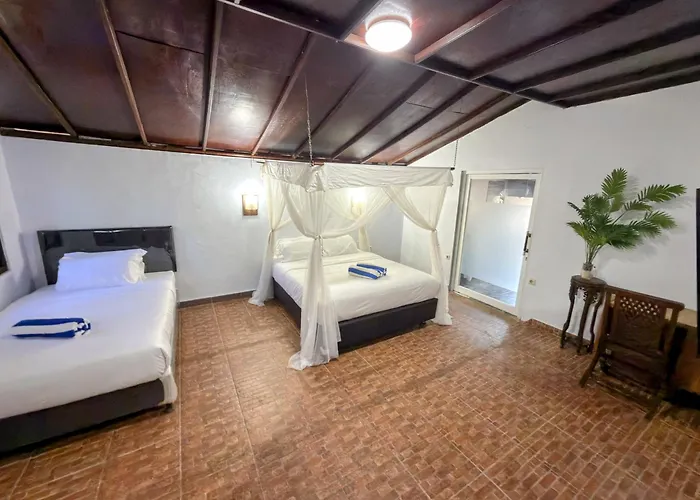 Lotus Bed & Breakfast